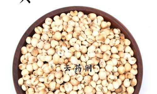 冻干粉小白瓶功效网-分享冻干粉芦荟胶的作用与功效，冻干粉的功效与副作用知识库